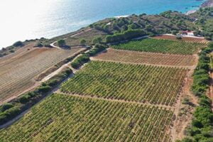 Pricelist 47 gentilini winery taxi kefalonia